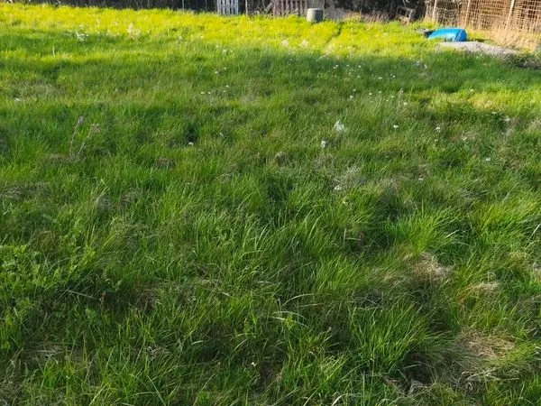 Terrain Location Réding   40€