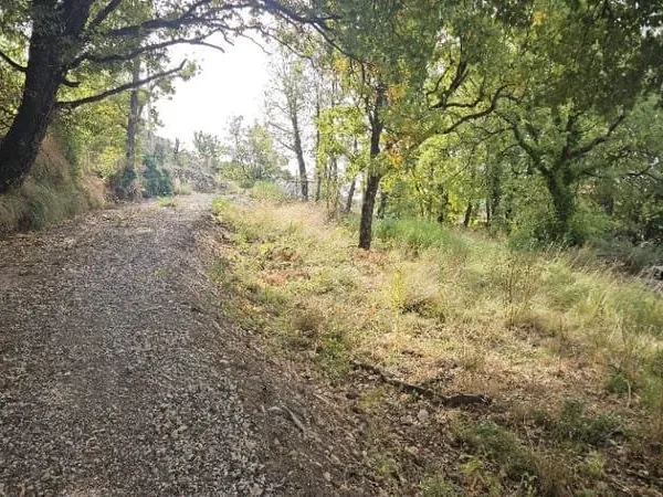 Terrain 747 m²