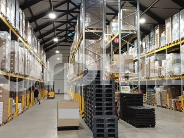 Local d'activité 1500 m²