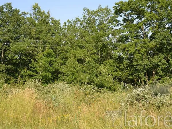 Terrain 1748 m²