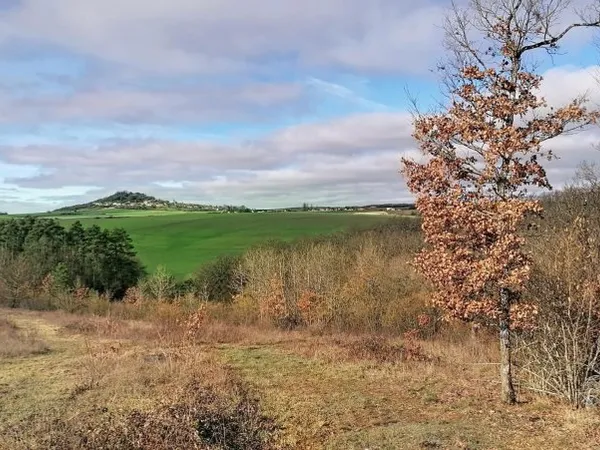 Terrain de 6.3 hectares