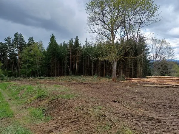 Terrain dénv. 5200m2 dont environ 1215m2 constructibles