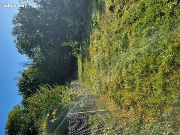 Terrain 690 m² Presles En Brie