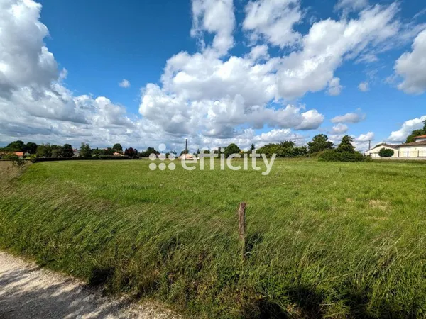 Terrain 5321 m²