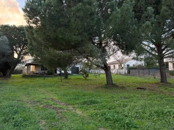 Terrain 356 m²