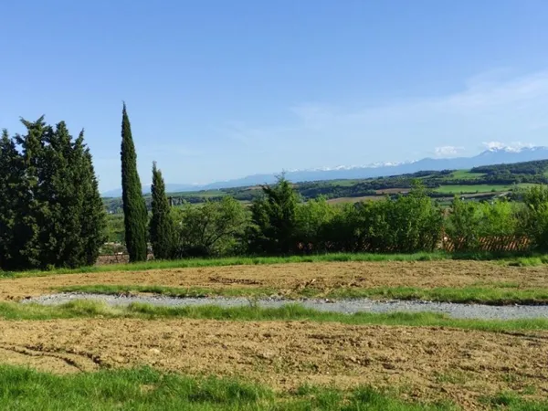Terrain 655 m²