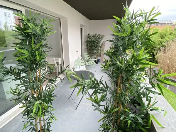 Loue appartement