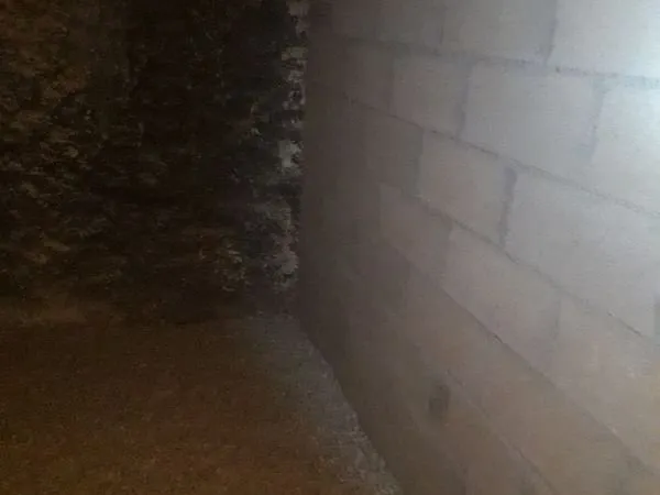 Cave à louer 75018
