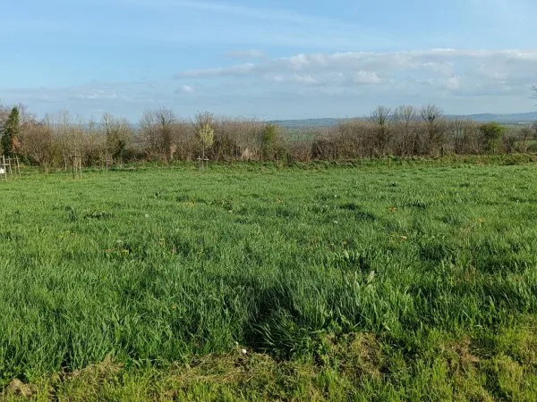 Terrain 416 m²