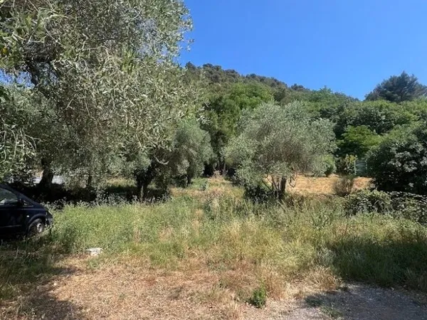 Belle opportunité terrain constructible dans lotissement