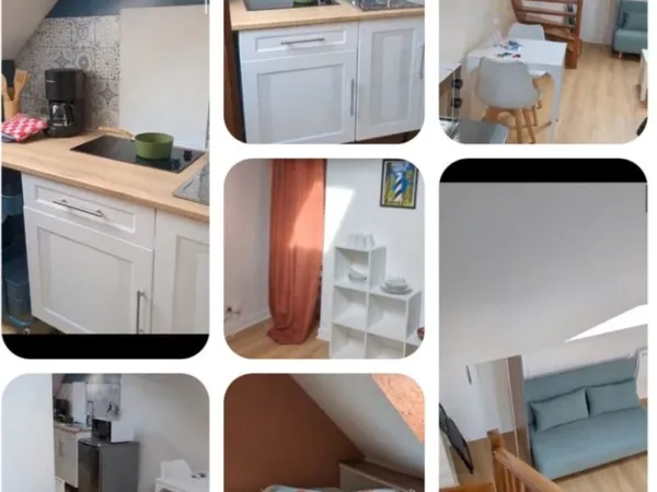 Duplex mezzanine 40m² Blois centre ville