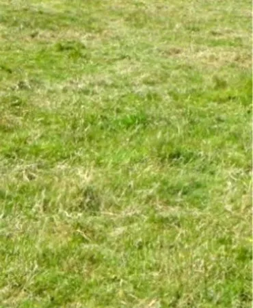 Terrain 250m2 non viabilisé constructible libre constructeur centre ville saint Molf rue peu passant