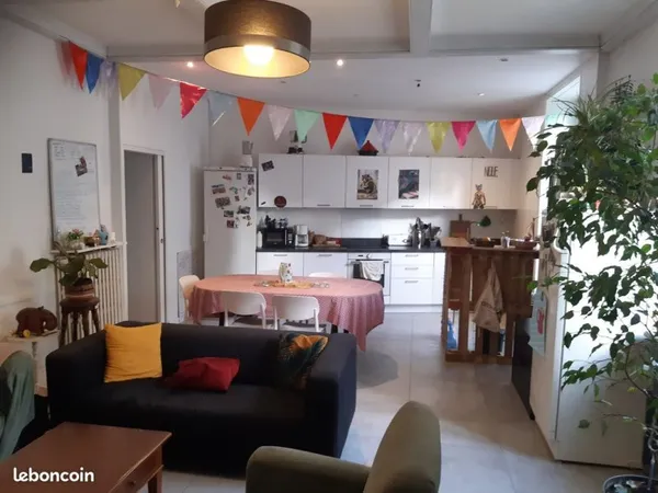 Colocation 5 personnes dans la Doutre, Angers - dispo à partir du 18 mai