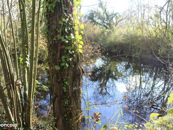 Terrain 2555 m² JAULNAY
