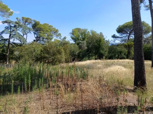 Terrain 900 m²