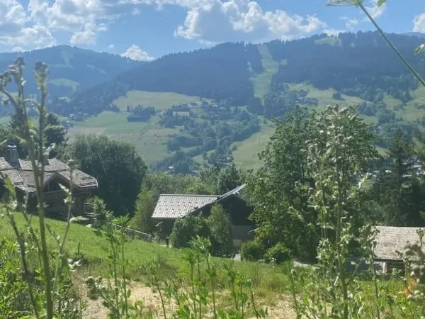 Terrain avec permis pour 2 chalets