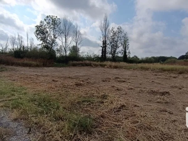 Terrain 3239 m²