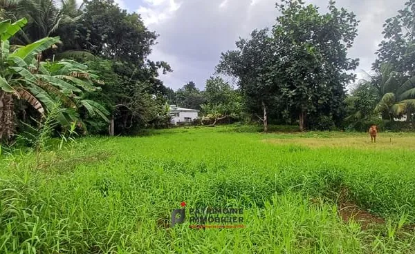 TERRAIN PLAT DE 1115 M2 A VENDRE AU LAMENTIN