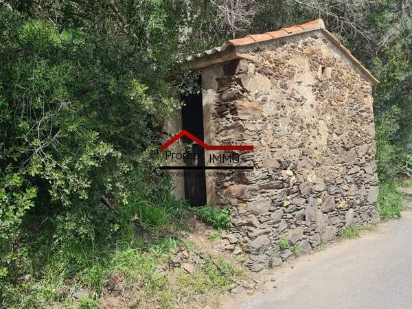 Terrain 3982 m²