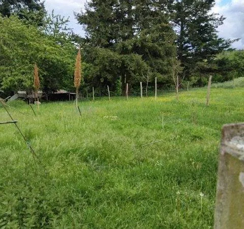 Terrain 1200 m²