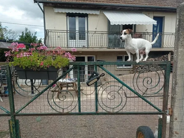Ensemble immobilier et élevage canin equipé