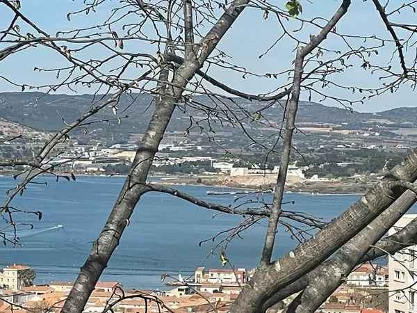 TERRAIN constructible 835m2 belle vue dégagée sur l étang de Thau la ville et la mer