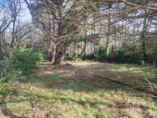 Terrain Saint Hilaire De Riez 2200 m2