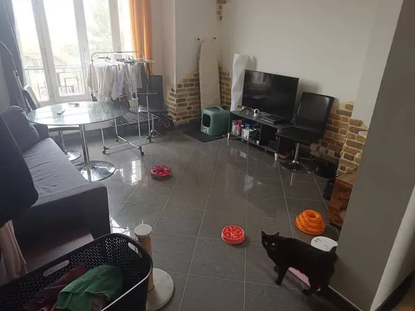 Appartement 3 pièces 47 m²