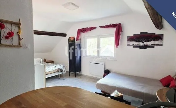 Appartement 1 pièce 29 m²