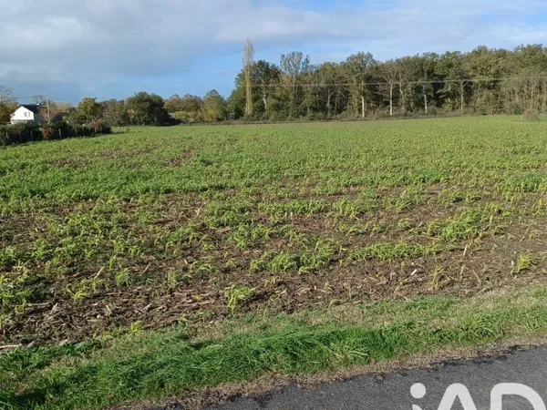 Terrain 3070 m²