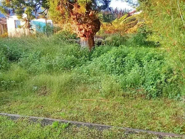 Terrain de 492m2