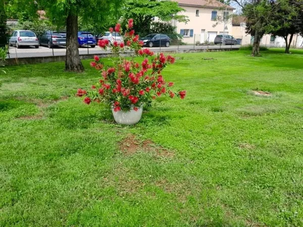 Terrain 300 m²