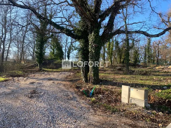 Terrain 3137 m²