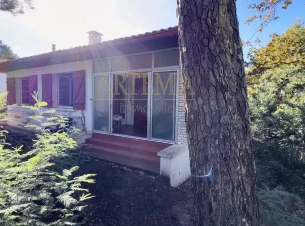 Maison de luxe 4 pièces 80 m²