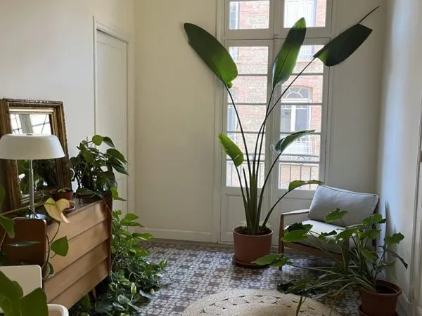 APPARTEMENT AVEC LOCATAIRE