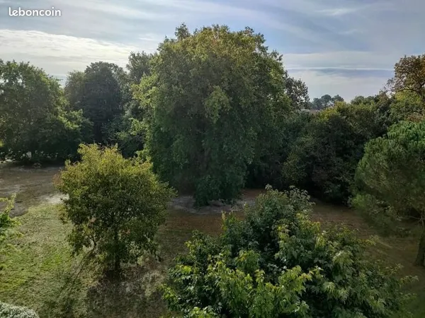 Appartement 2 pièces 52 m²