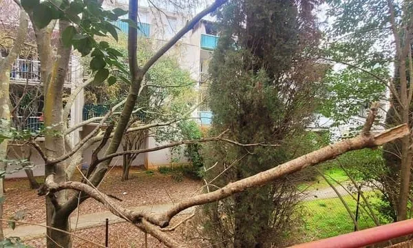 Studio 1 pièce 26 m²