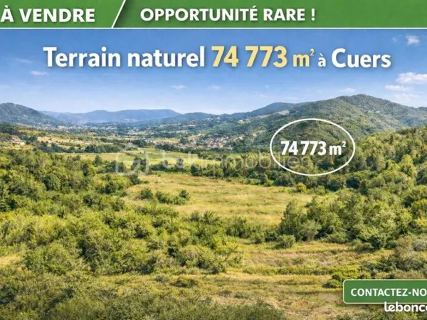 Forêt 74 773 m² Cuers