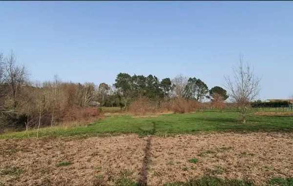 Terrain constructible 1453 m²