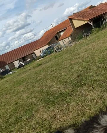 Maison 87m2 avec terrain et dépendances
