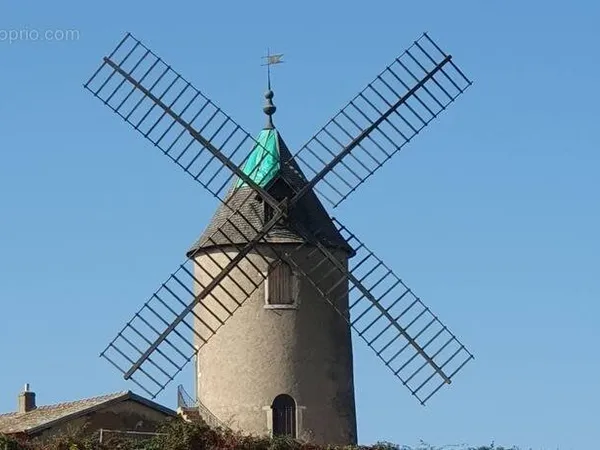A vendre vignes AOC Moulin à Vent