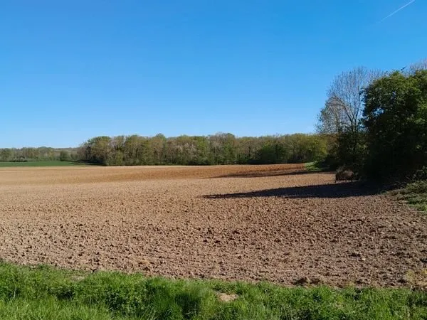 Terrain à bâtir