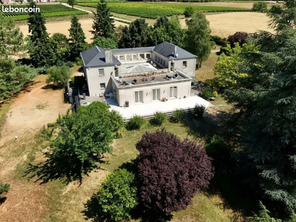 Domaine de Prestige & Gîtes - 20 min Futuroscope - 1,2ha Clos - Rentabilité Immédiate