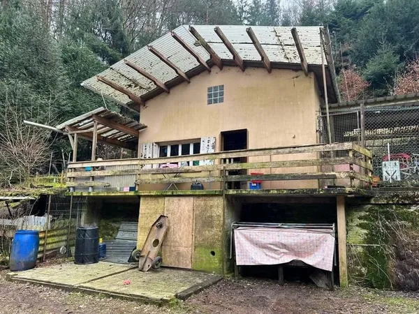 Chalet avec forêt