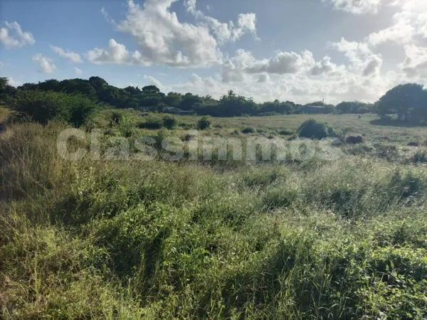 Terrain 600 m²