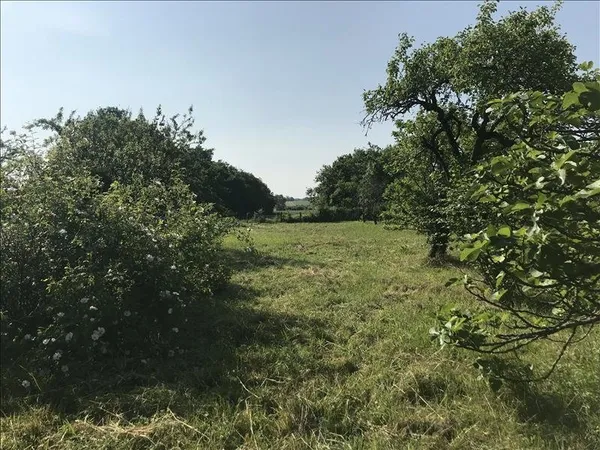 Terrain à bâtir de 0 pièces principales