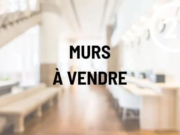 MURS COMMERCIAUX ANNECY 310 M²