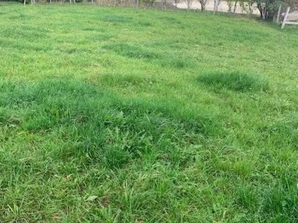 A vendre très beau terrain constructible de 620 m2