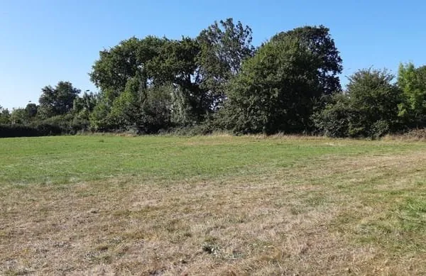 Terrain viabilisé de 800 m² à ORVAULT, limite SAUTRON