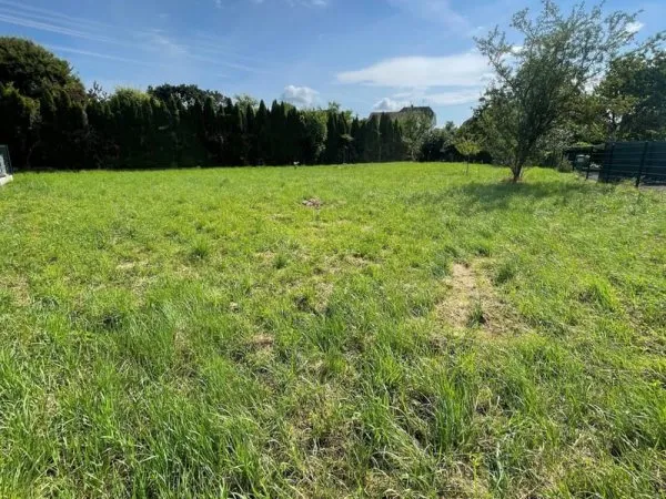 DANNEMARIE : Beau terrain plat en impasse